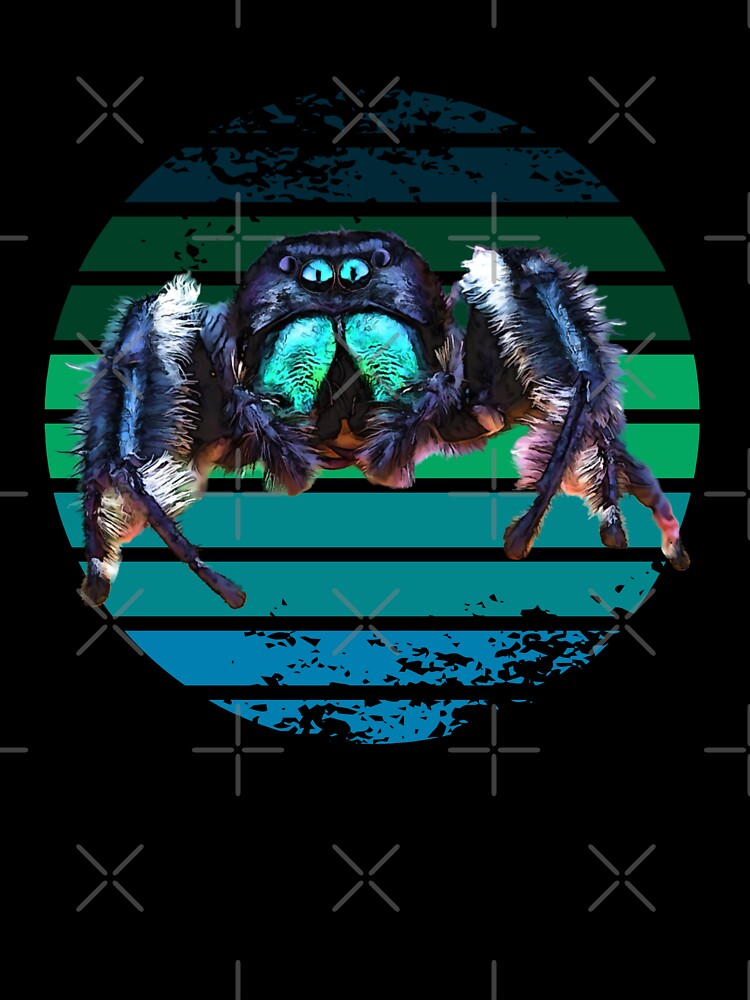 Grunge Striped Male Regal Jumping Spider by Zurickdesigns