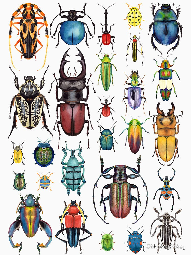 Beetle Mania by OhHokeyPokey